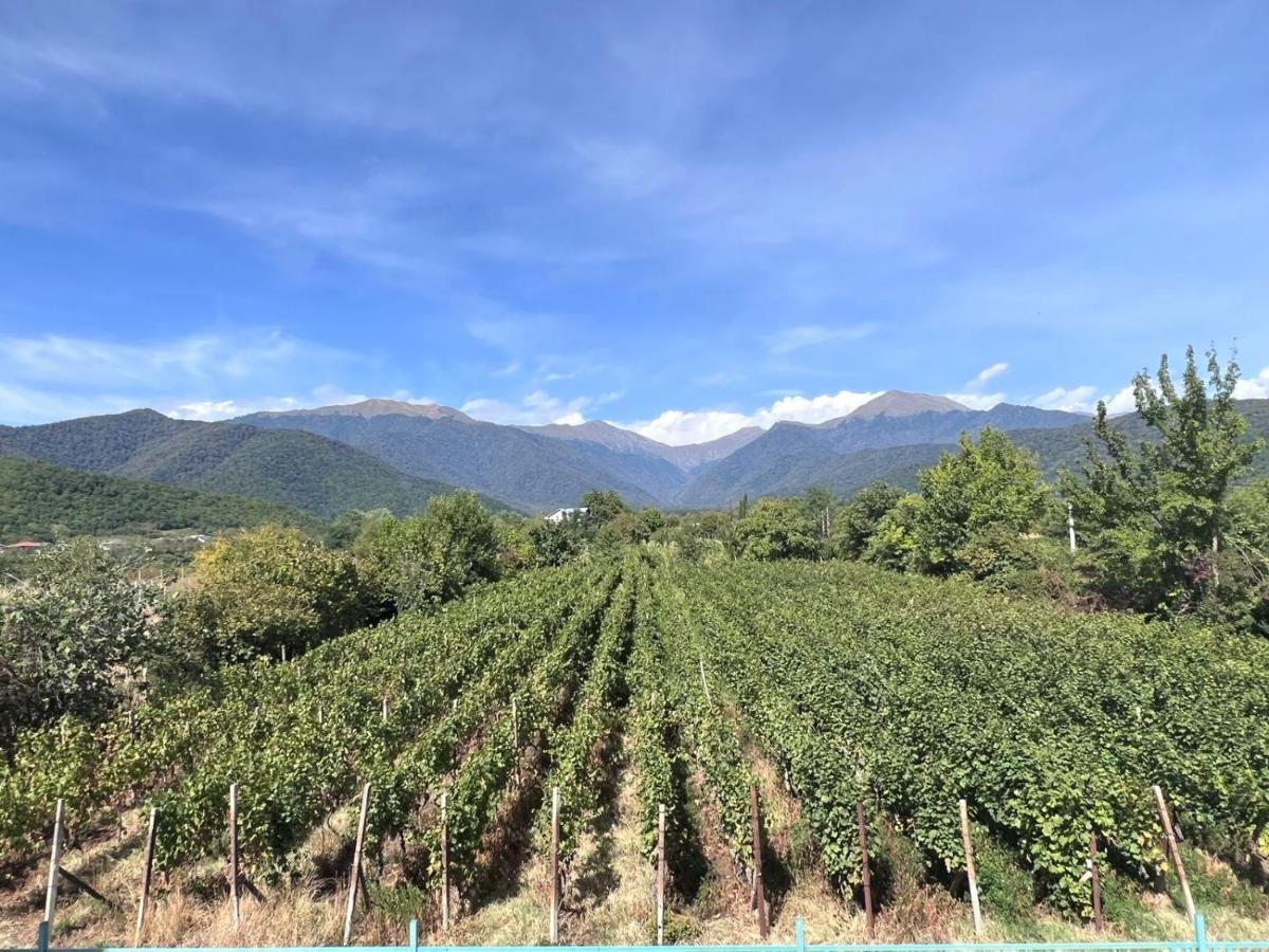 ホテル Begaso Family Winery クヴァレリ エクステリア 写真